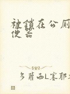 被锁在公厕当坐便器