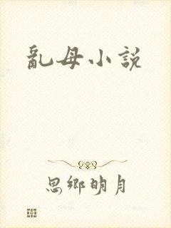 乱母小说