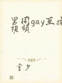 男同gay互操视频