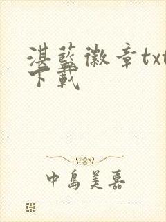 湛蓝徽章txt下载