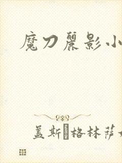 魔刀丽影小说