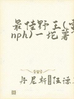 最佳野王(电竞nph)一坨薯饼