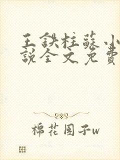 王铁柱苏小汐小说全文免费阅读最新章节