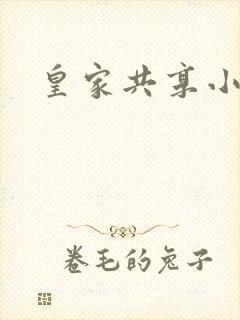 皇家共享小公主封面