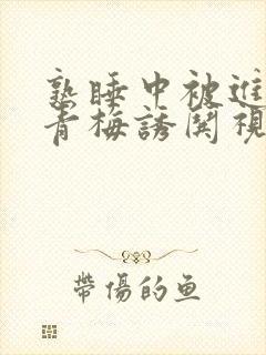 熟睡中被进了H青梅诱哄视频