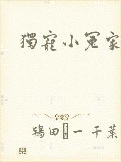 独宠小冤家封面