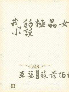 我的极品女老师小说