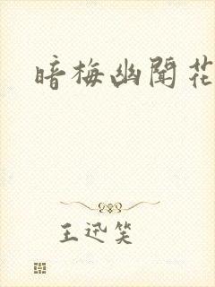 暗梅幽闻花封面