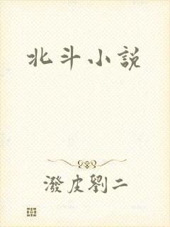 北斗小说
