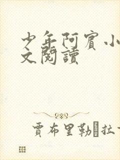 少年阿宾小说全文阅读