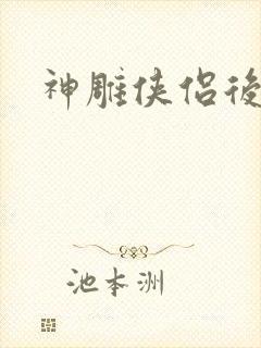 神雕侠侣后传封面