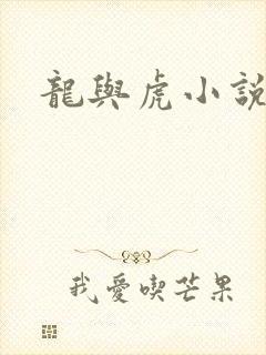 龙与虎小说