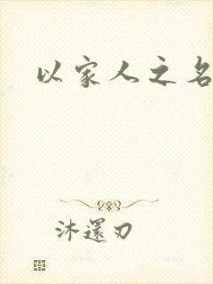 以家人之名小说