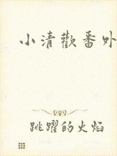 小清欢番外