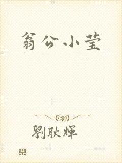 翁公小莹