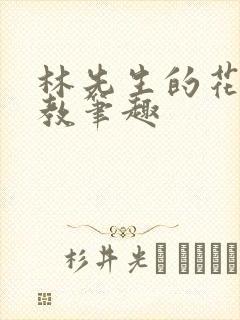 林先生的花式管教笔趣