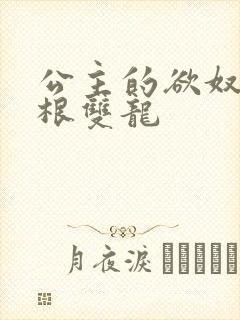 公主的欲奴h四根双龙