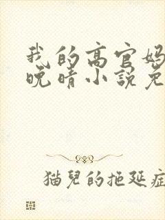 我的高官妈妈苏晚晴小说免费阅读封面