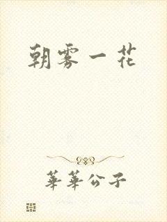 朝雾一花封面