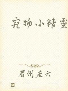 宠物小精灵漫画