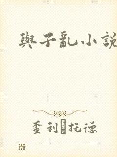 与子乱小说