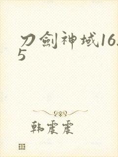 刀剑神域16.5