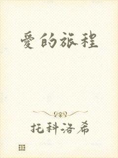 爱的旅程封面
