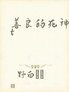 善良的死神txt封面