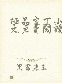 极品家丁小说全文免费阅读