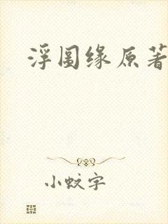 浮图缘原著小说封面