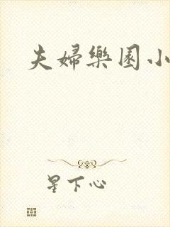 夫妇乐园小说封面