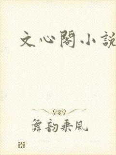 文心阁小说