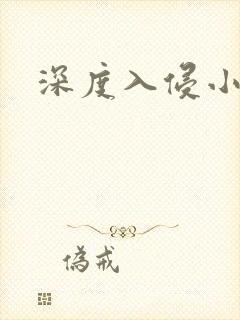 深度入侵小说