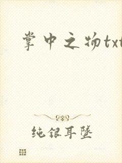 掌中之物txt封面