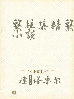 系统集精系统 小说