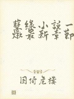 孽缘小说一家乱炖最新章节阅读