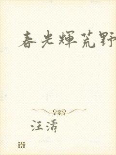 春光辉荒野封面