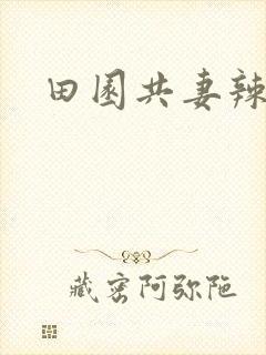 田园共妻辣封面