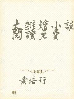 大杂烩小说全集阅读免费