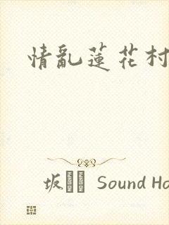 情乱莲花村封面