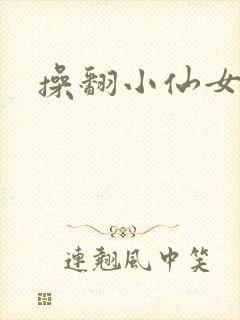 操翻小仙女封面