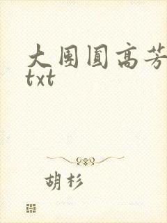 大团圆高芳小说txt封面