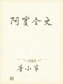 阿宾全文