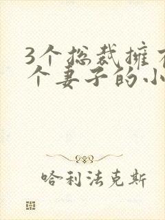 3个总裁拥有一个妻子的小说封面