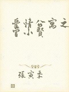 爱情公寓之极品曾小贤封面