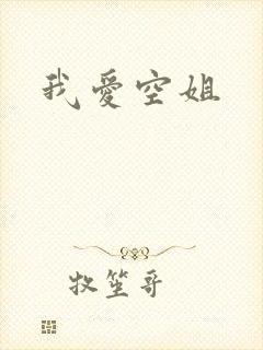 我爱空姐