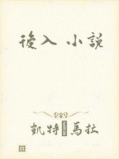后入 小说