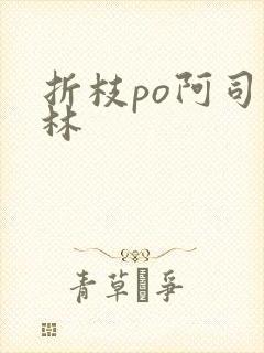 折枝po阿司匹林封面