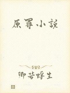 原罪小说