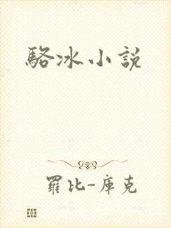 骆冰小说